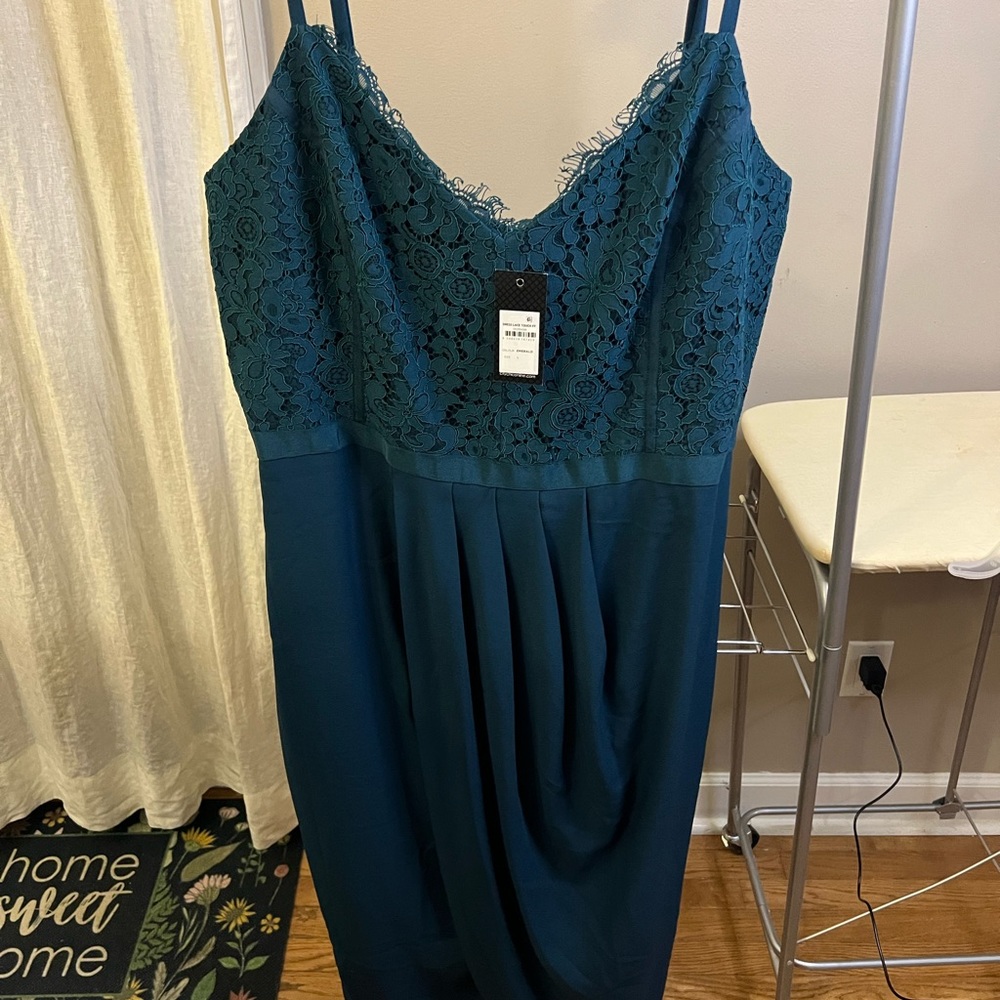Woman’s Plus Size Gown